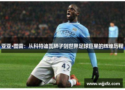 亚亚·图雷：从科特迪瓦骄子到世界足球巨星的辉煌历程