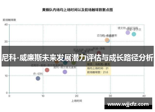 尼科-威廉斯未来发展潜力评估与成长路径分析