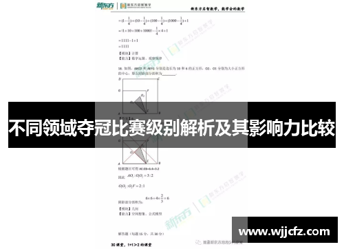 不同领域夺冠比赛级别解析及其影响力比较
